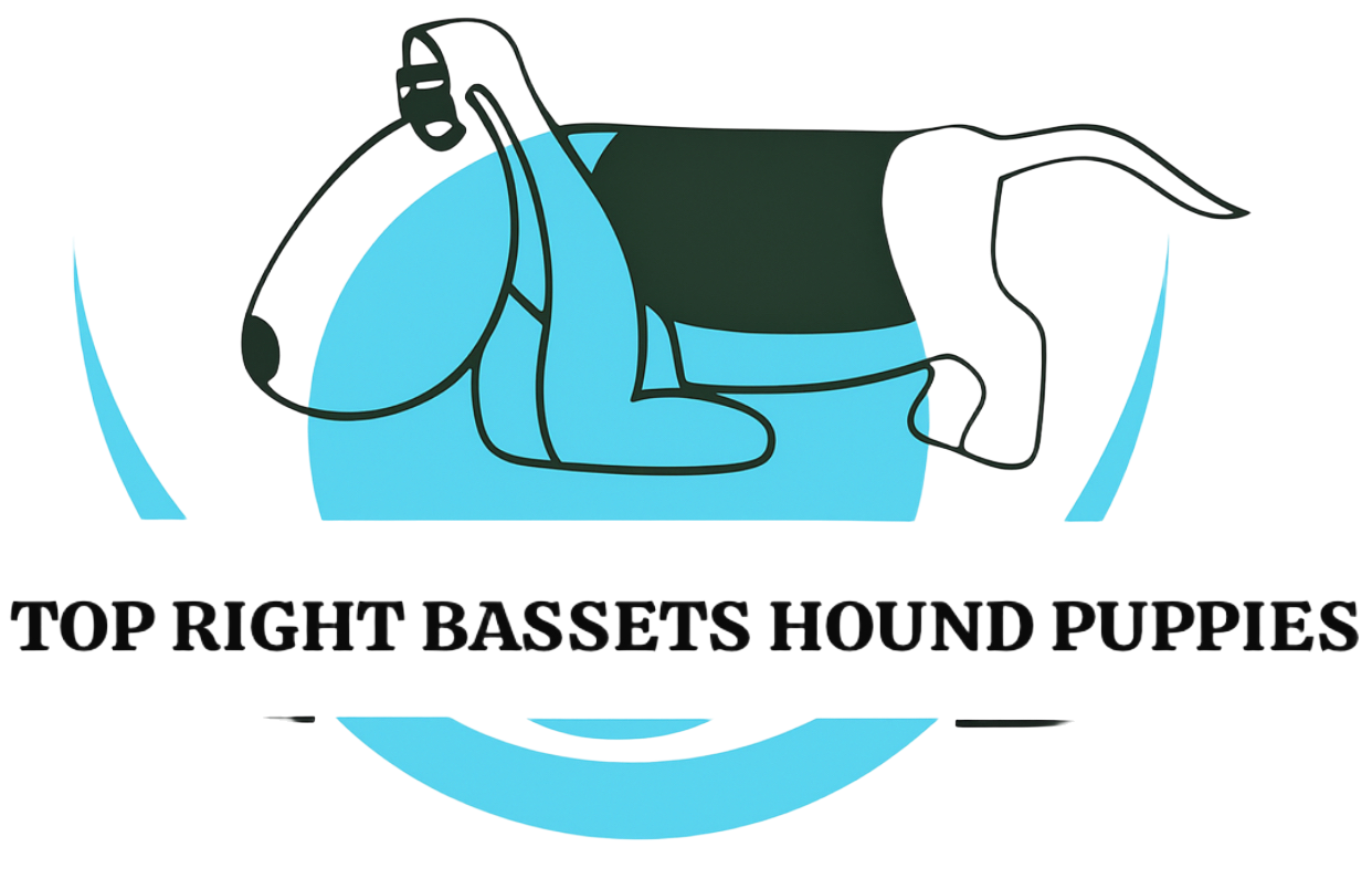toprightbasset.com